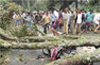 Tree falls on his bike, rider killed